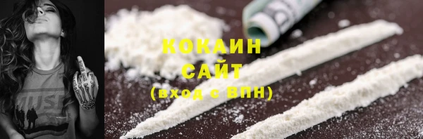 бошки Няндома