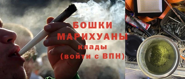 бошки Няндома