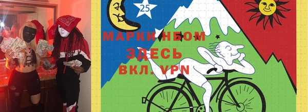 бошки Няндома
